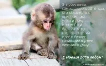 бізнес-ідей