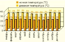 нуса