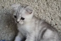 Потрібна думка спеціаліста, і не тільки думка
