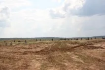 Один день на зйомках реаліті-шоу «Спеціальне завдання», Армійський вісник реаліті-шоу