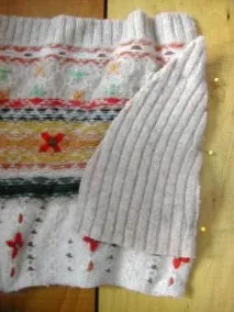 Одяг для собак зі старих трикотажних речей своїми руками, Мої Собаки речей