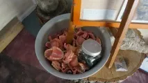 Парк скульптур у Парікала його