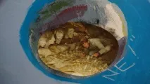 Парк скульптур у Парікала парк