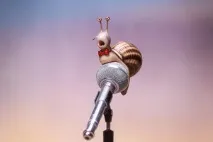 дата