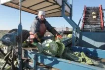 вчені