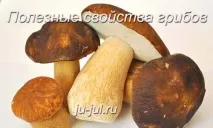 Корисні властивості грибів, Готуємо смачно готуємо