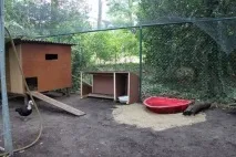 Приміщення для качок приміщення