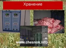 Післязбиральна обробка та зберігання часнику - Сажалка для часнику, комбайн для збирання часнику, зберігання