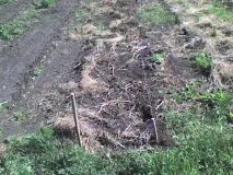 Допоможіть або як вберегти грядки вберегти