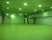 стельцехах