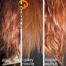 кінчики