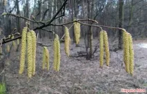 город
