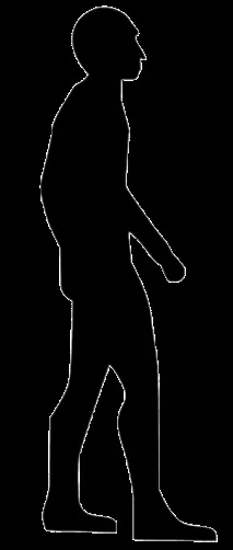 Професія Програміст де отримати в Україні отримати