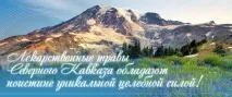день