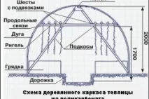 сами