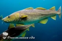 Риба тріска користь та шкода шкода