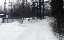 Шлагбаум проти Ніжності проти