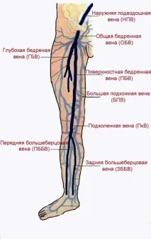 причини