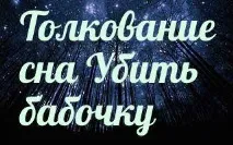 Сонник 🌛 убити метелика приснилося до чого сниться убити метелика уві сні - тлумачення снів убити