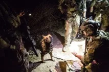 Собаки, які служать служать