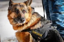 Скільки їсти, пити і як одягатися туристам, які повертаються до Примор’я, вирішать на митниці їсти