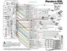 pandora