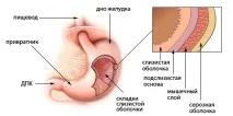 панкреаса