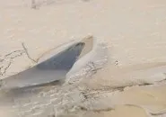 Гіпсовий барельєф від Леоніда Кіма барельєф