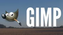 gimp