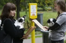 Де вигулювати собак на сході і півдні Москви, Довідка, Питання і Відповіді, Аргументи і Факти сході