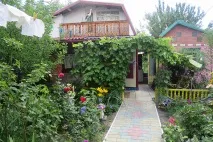 Гоголь, собаки та херсонці Миргороді