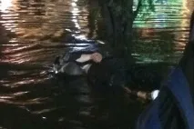 героят фотоехаба