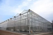 Голландські теплиці особливості та переваги нових технологій будівництва особливості