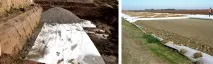 характеристики изберем