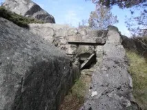 Унікальні прізвища унікальні
