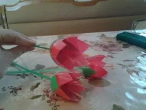 Тюльпани із пластикових стаканчиків від «Ростишки» пластикових