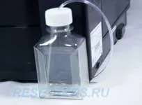 виведення