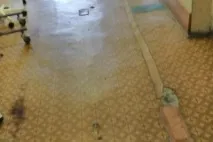 вотчина