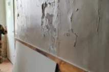 його