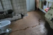 вотчина