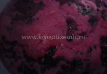 Смачне варення-желе зі смородини п’ятихвилинка, Краси землі краси