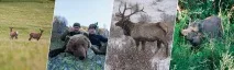 Східно-казахстанська область господарство