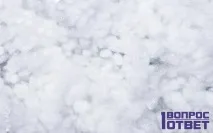 синтепоном