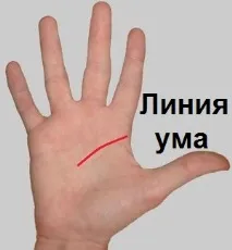лінії розуму