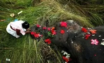 Абрам, вже голову зламала - В одних весілля, в інших похорон одних