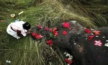 Абрам, вже голову зламала - В одних весілля, в інших похорон зламала