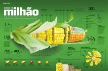 10 порад щодо створення якісної інфографіки створення