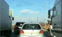 Акули продовжують «зазіхати» на Примор’ї зазіхати