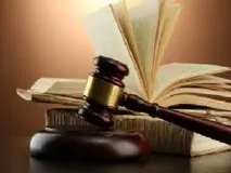 Адміністративно-правовий статус суб’єктів, які здійснюють публічно значущі функції (Сінюгін В статус