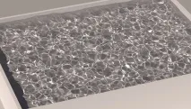 renderer renderer